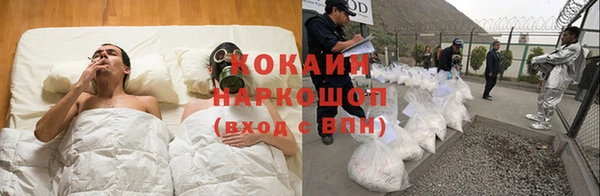 соль ск Алзамай