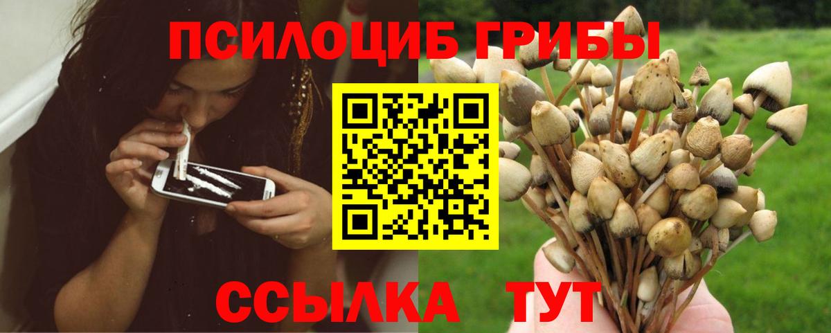 Галлюциногенные грибы мицелий  Вход с VPN  Галлюциногенные грибы мухоморы  Новочебоксарск 